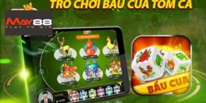 Các lợi ích vượt trội khi chơi Bầu Cua May88